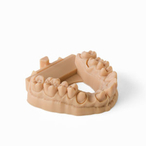 Formlabs Dental Model